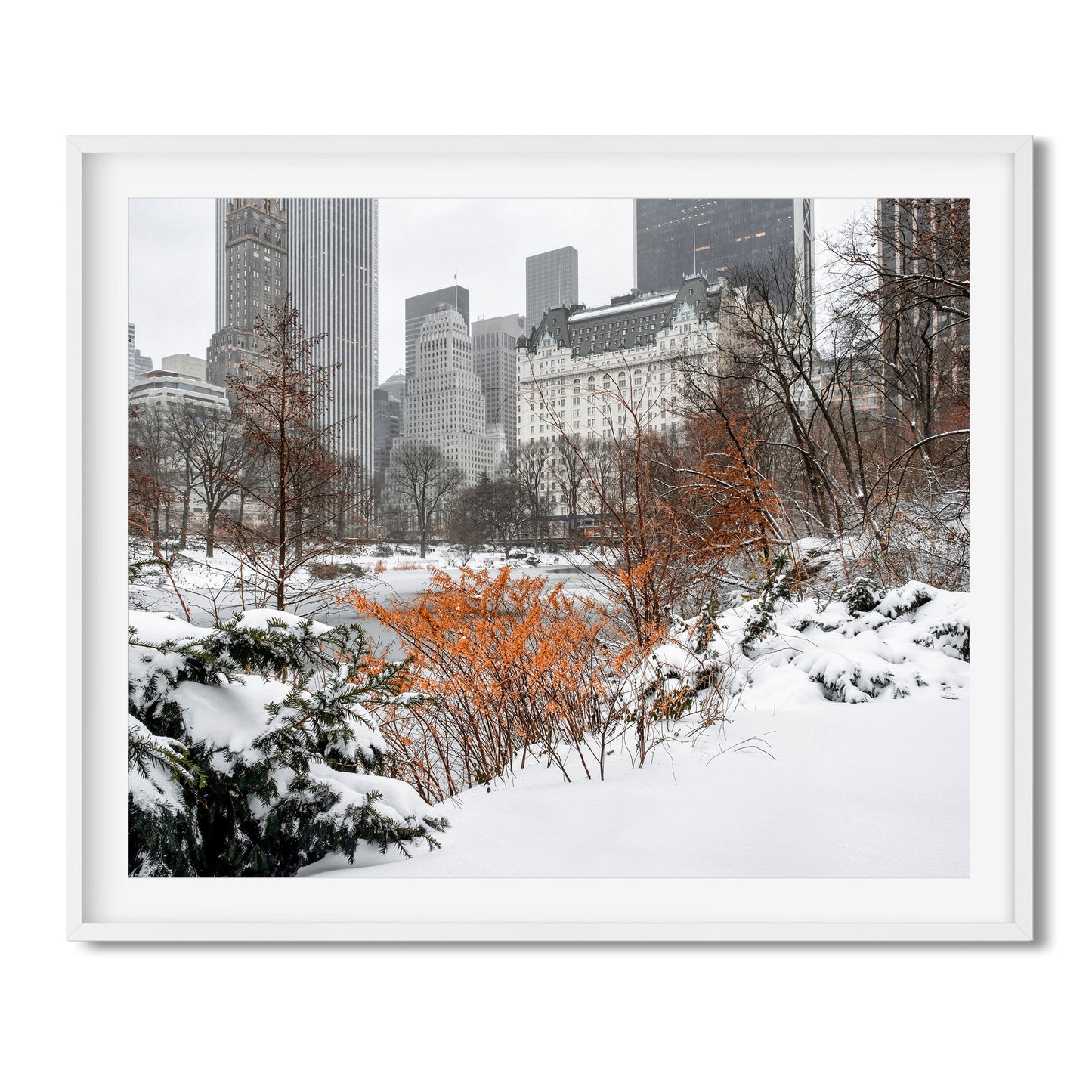 Winter in Central Park 2020